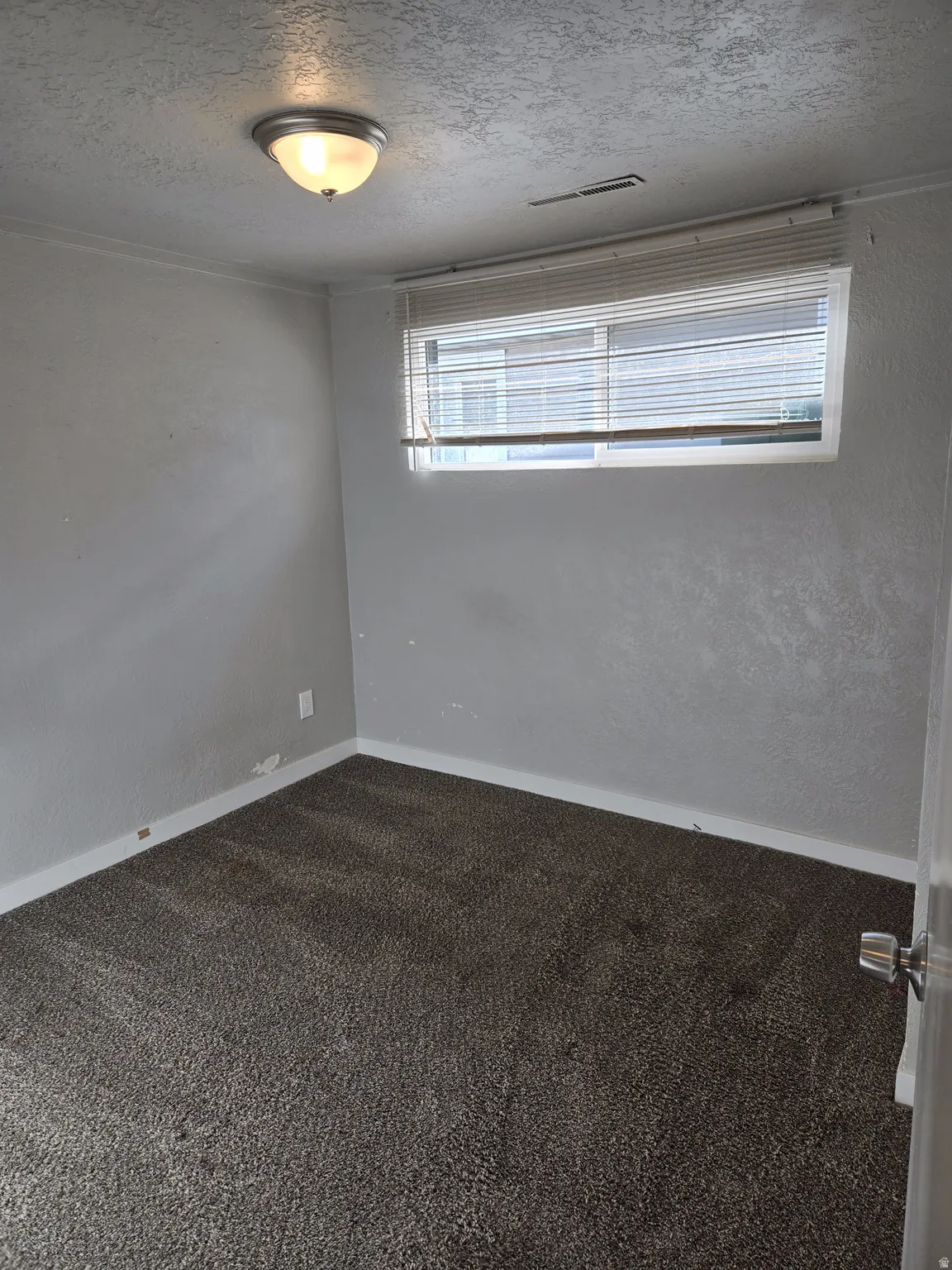 Wall-to-wall carpeting and a ceiling-mounted light fixture