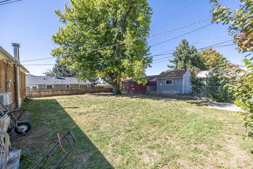Expansive grassy yard area with mature trees and a detached shed
