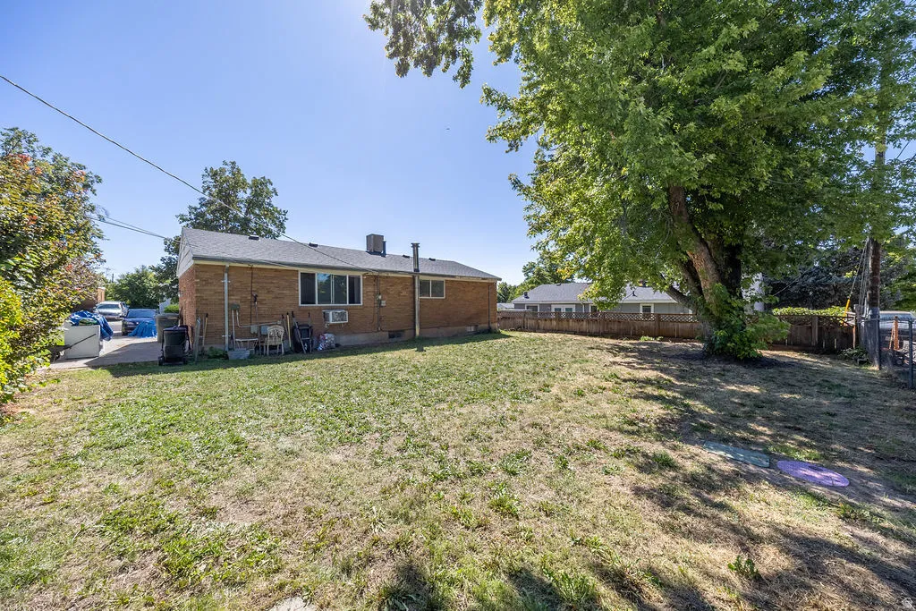 Expansive grassy area with mature shade tree