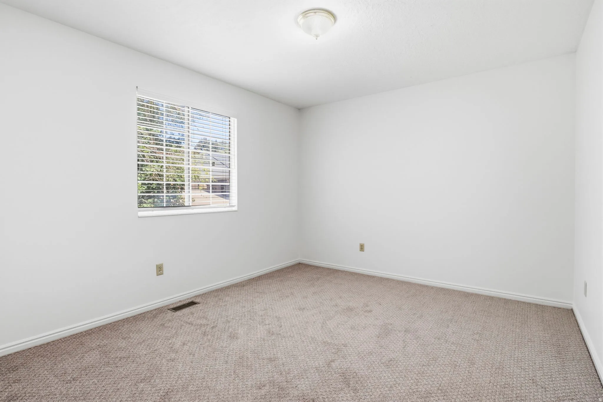 Recessed window with horizontal blinds, neutral carpeting, and a flush-mount ceiling light
