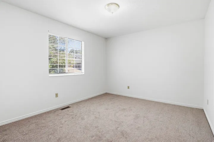 Recessed window with horizontal blinds, neutral carpeting, and a flush-mount ceiling light
