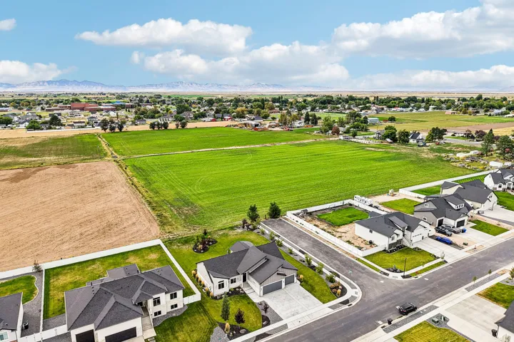 Well-defined residential streets with mature landscaping