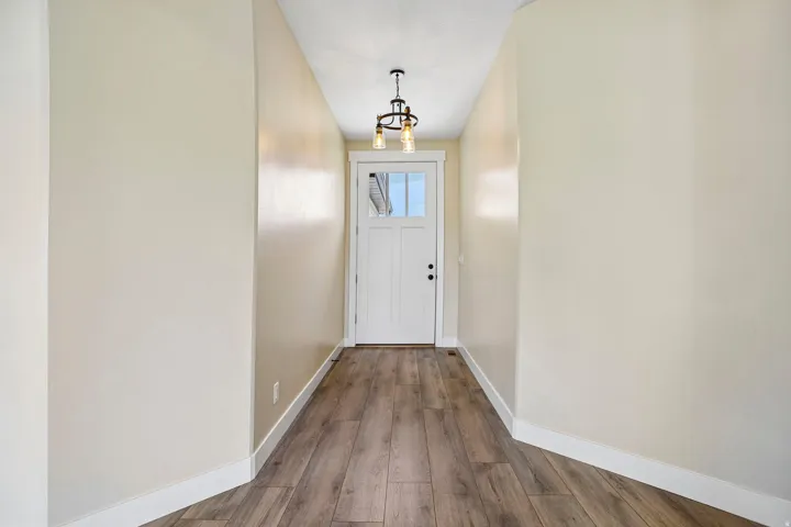 Wood-finish flooring with white trim, a white entry door with glass panels, and a drum-style pendant light fixture