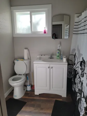 Wood-finish flooring, white vanity with cabinet storage, rectangular mirror, and white toilet