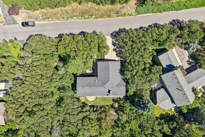 Gabled roofline, surrounding mature trees, paved driveway, and stone patio