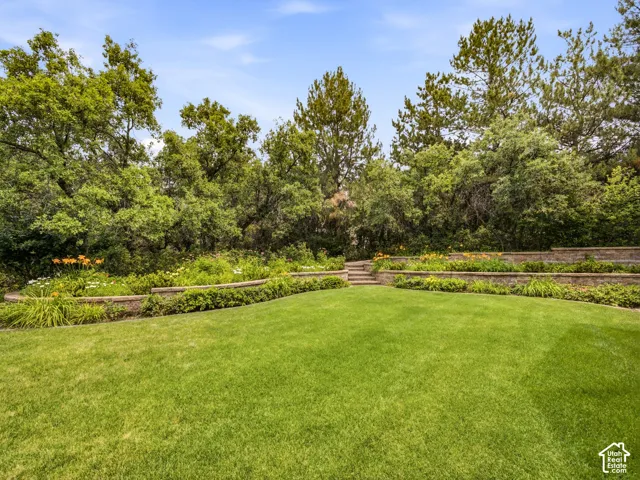 Expansive lawn with terraced landscaping, mature trees, and a clear sky backdrop