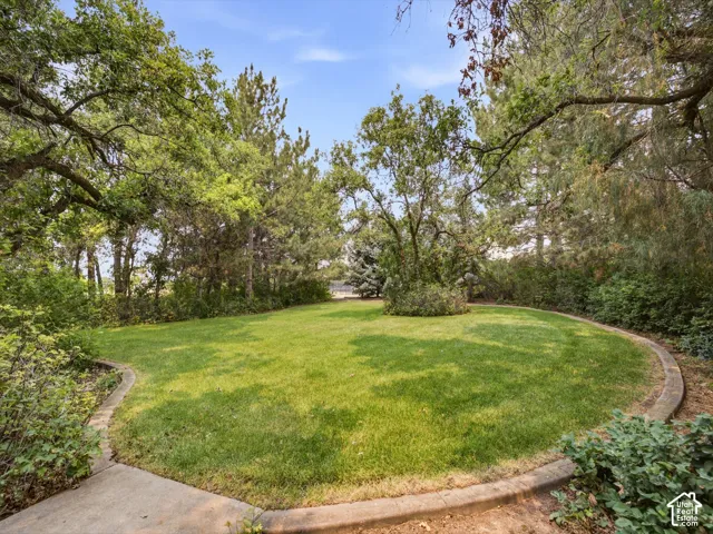 Expansive lawn area bordered by mature trees and shrubs, featuring a curved concrete landscape curbing and a paved path