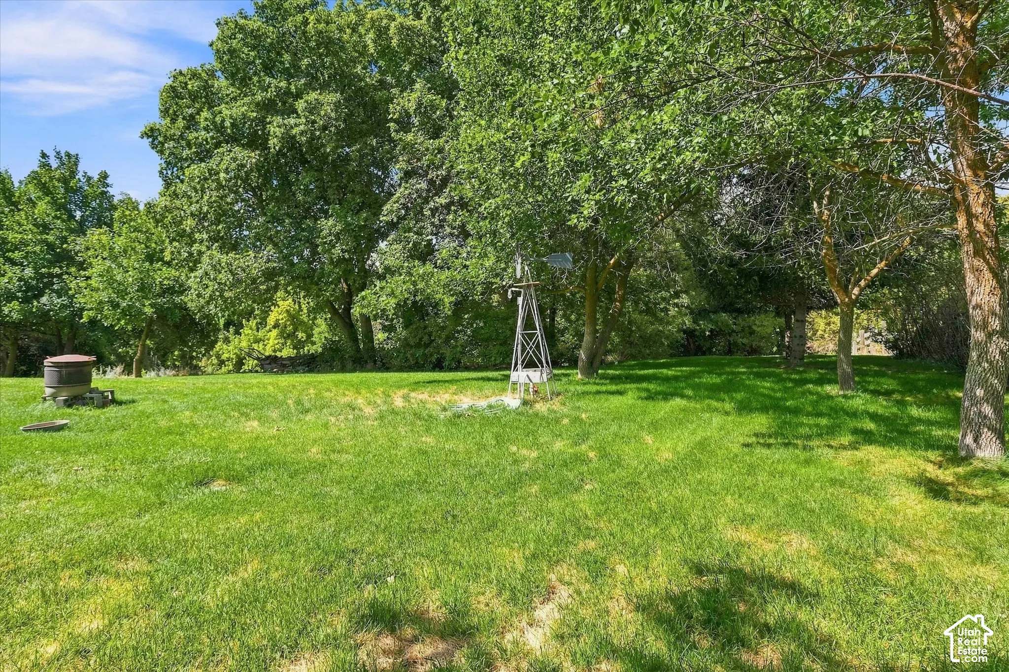 Expansive grassy yard with mature trees and a decorative windmill behind the house
