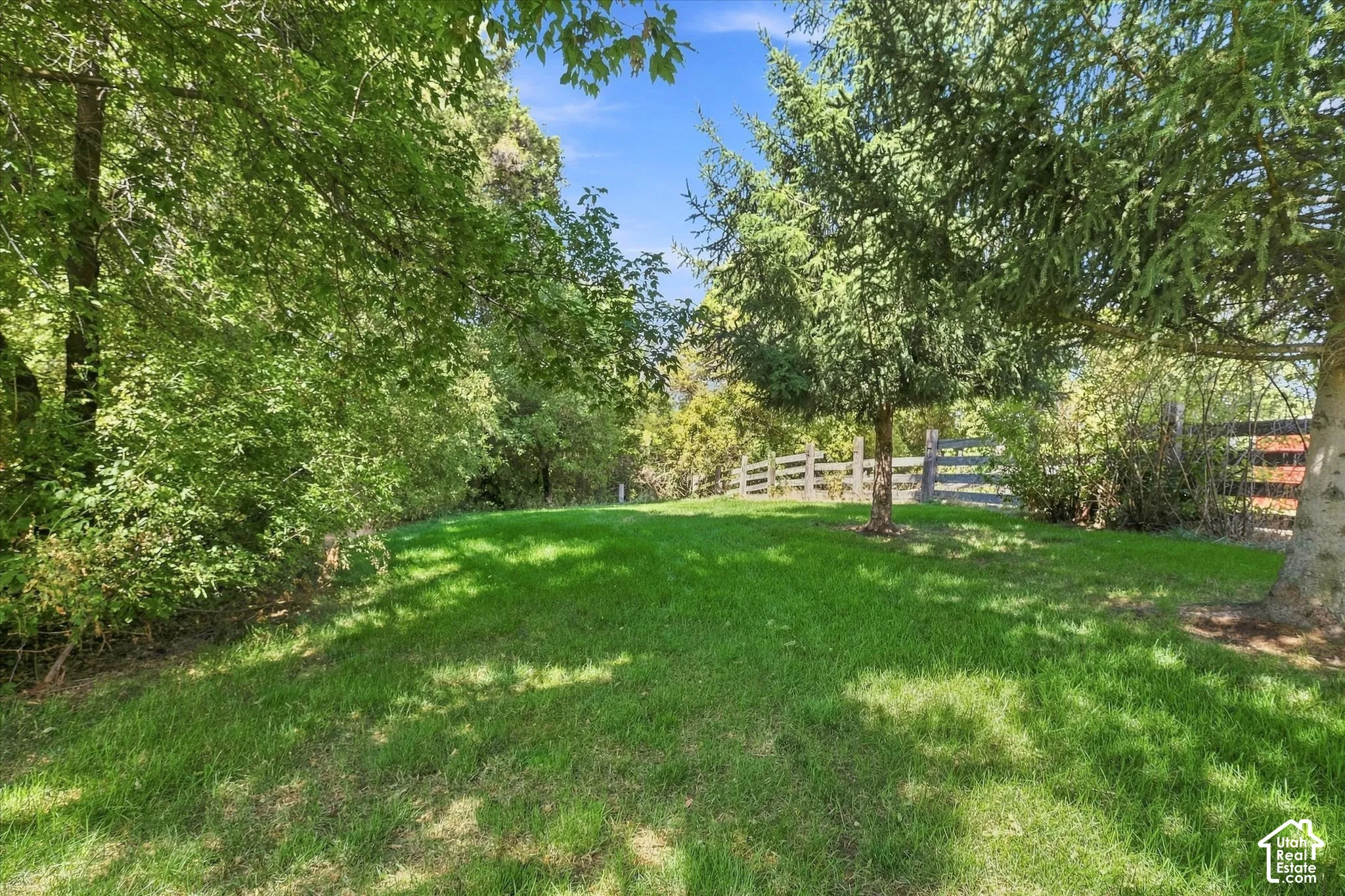 Expansive green lawn surrounded by mature trees, featuring a wood fence on the north side of the property