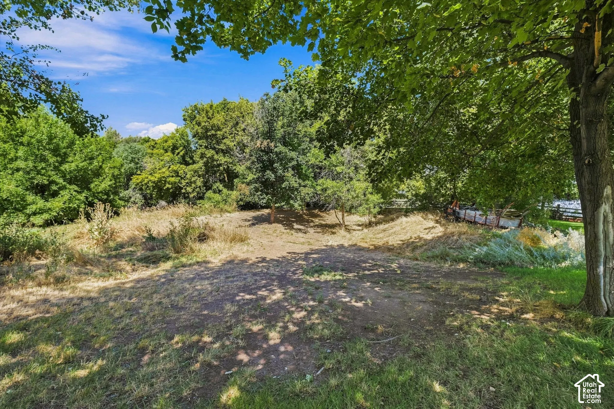 Expansive outdoor area featuring mature trees and natural ground cover