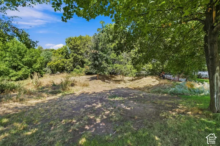 Expansive outdoor area featuring mature trees and natural ground cover