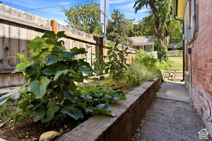 Raised garden bed with established plantings on the north side of the building.