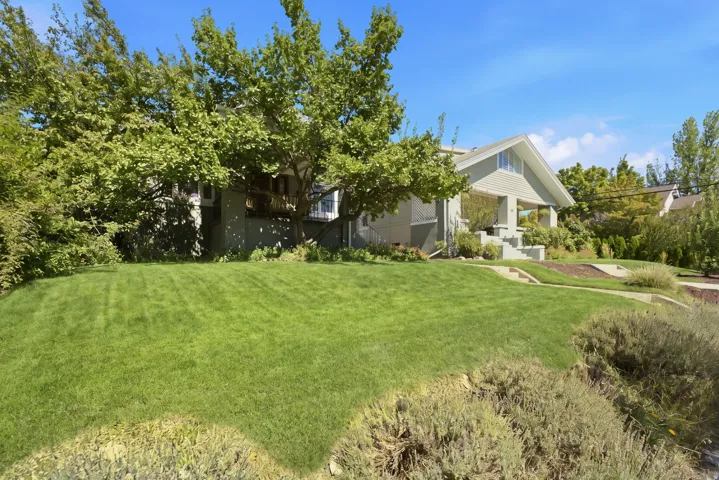 Expansive front lawn with mature trees and established landscaping