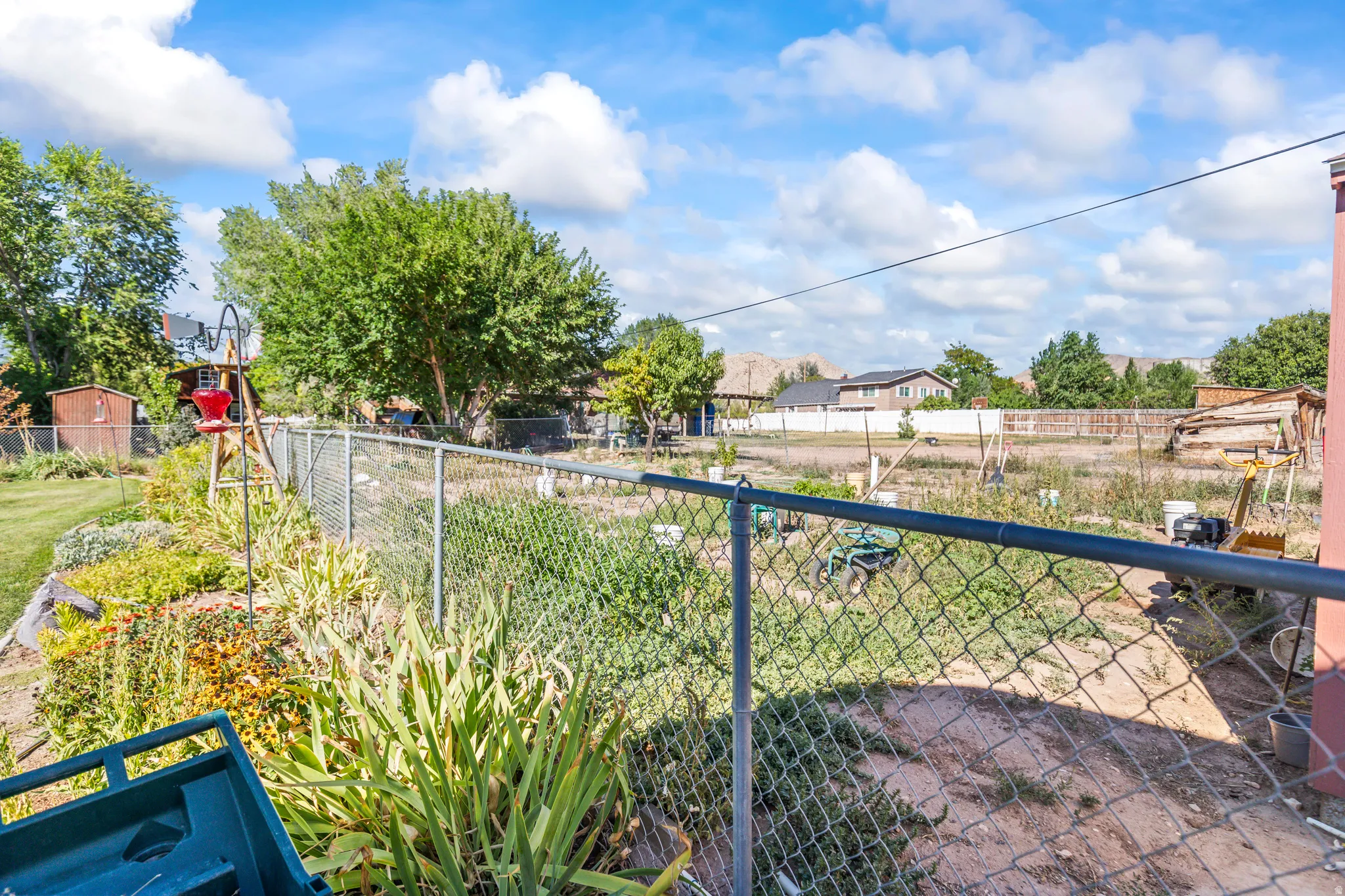 Chain-link fence enclosing a cultivated garden area, with mature trees and a detached shed