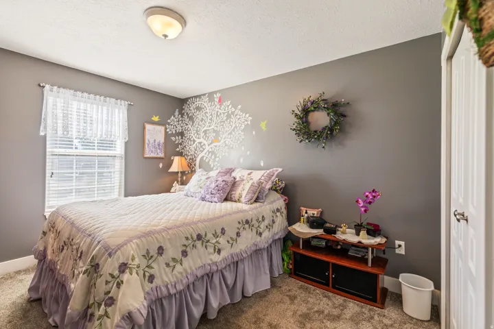 Wall-to-wall carpeting and a ceiling-mounted light fixture