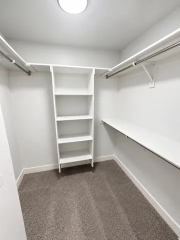 White built-in shelving, white walls, gray carpet flooring, and a flush mount ceiling light