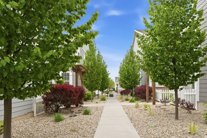 Landscaping featuring mature trees and decorative shrubs