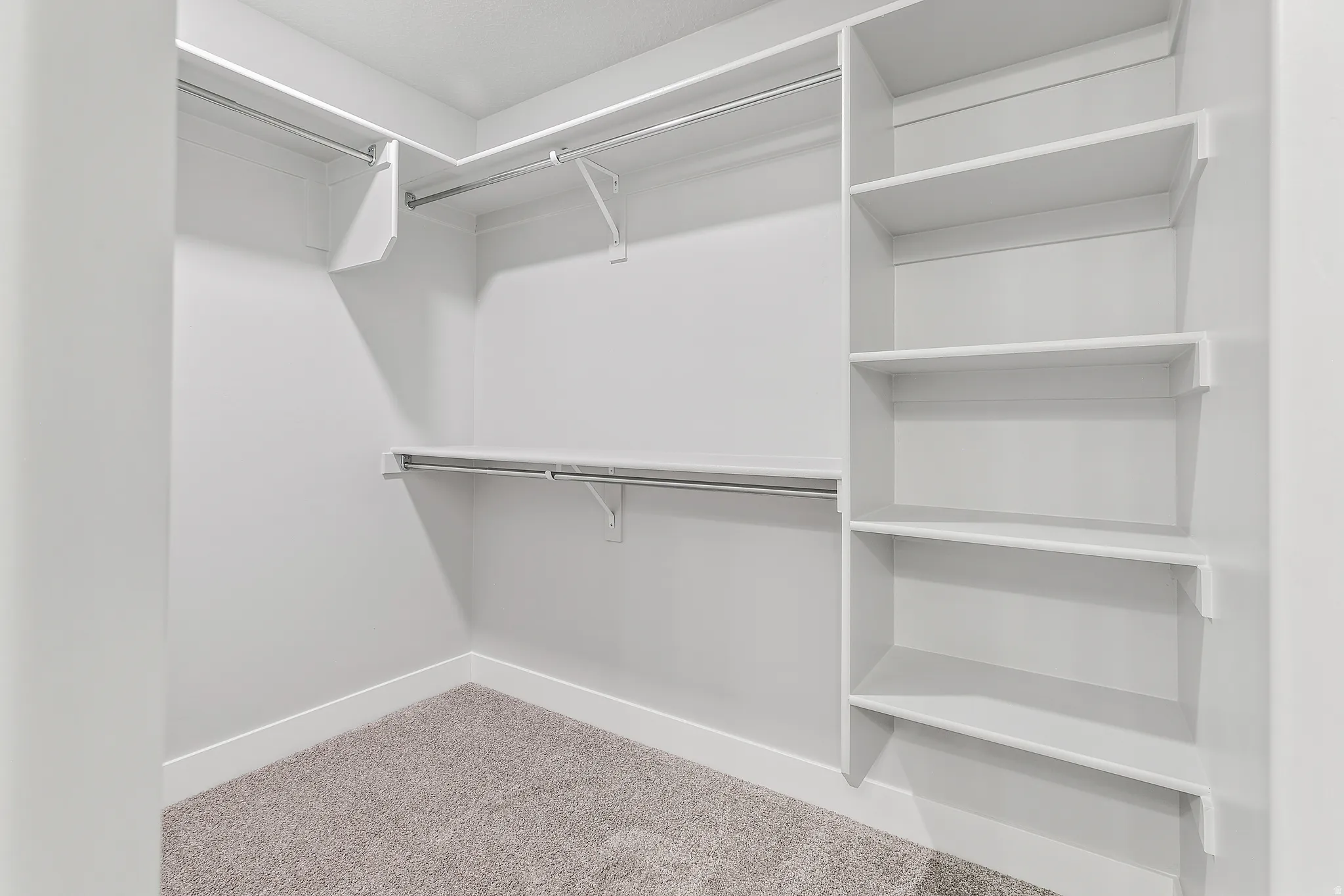 Walk-in closet featuring white built-in shelving, multiple hanging rods, and carpet flooring