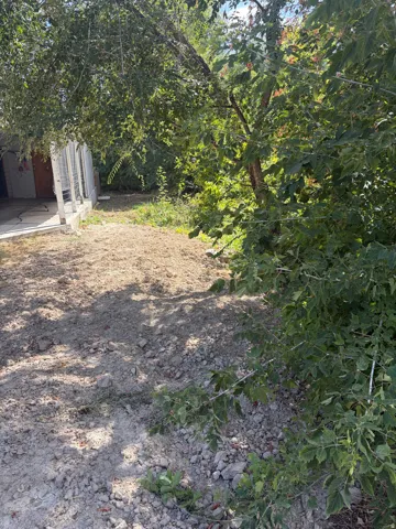 East side of home (additional parcel )