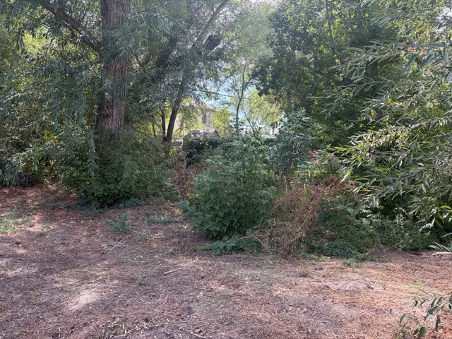 East side of home (additional parcel)