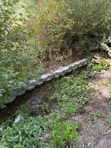 Natural stream featuring a stone retaining wall and lush, varied foliage