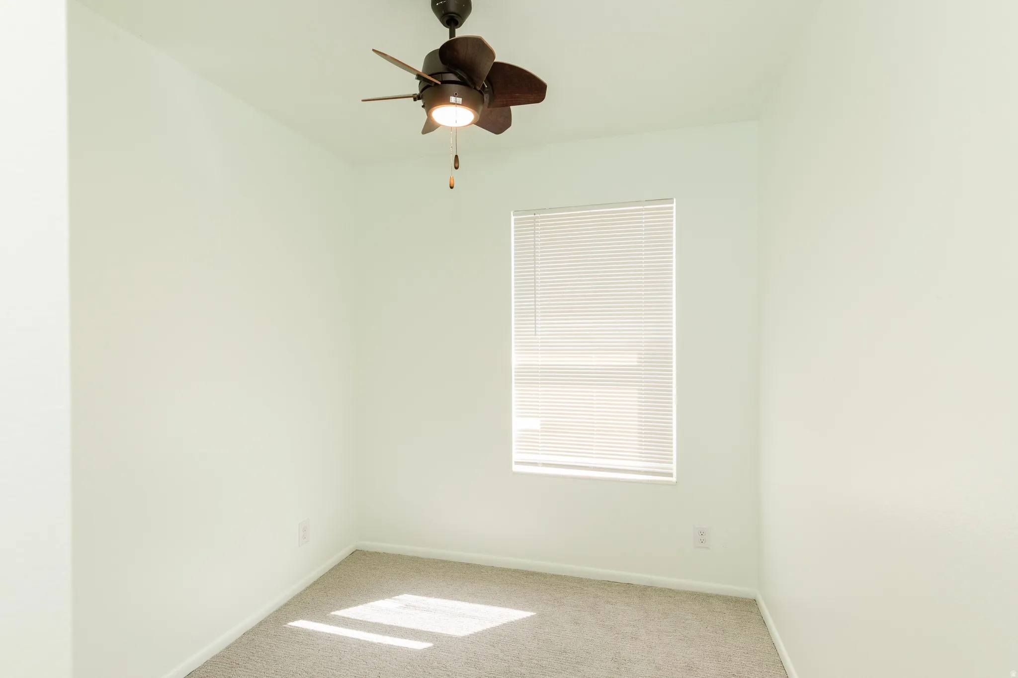 Neutral paint tones with an overhead fan light fixture, window with blinds, and carpeted flooring