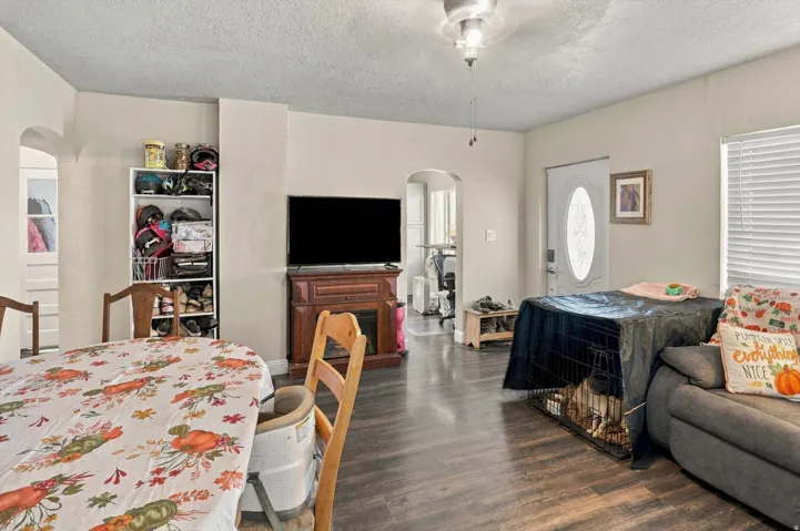 Wood-finish flooring throughout, ceiling light fixture, and arched doorway