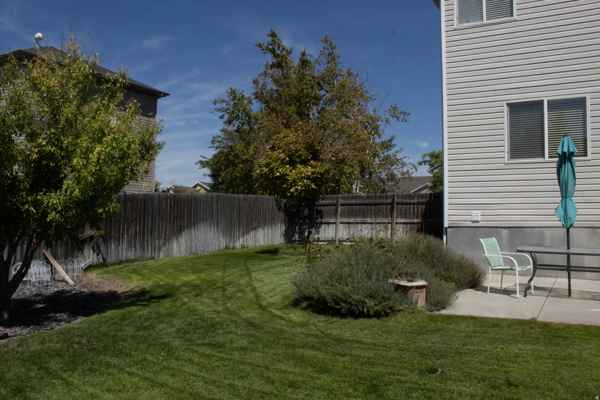Expansive lawn area with a concrete patio, mature perimeter plantings, and a wood privacy fence
