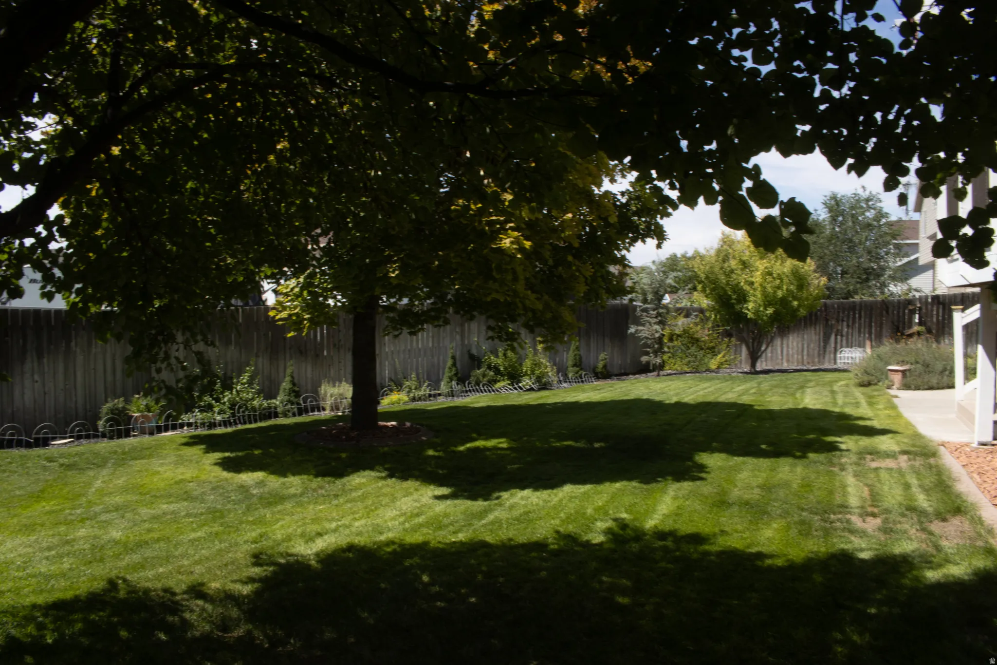 Spacious backyard with mature trees, manicured lawn, wood fencing, and concrete patio area