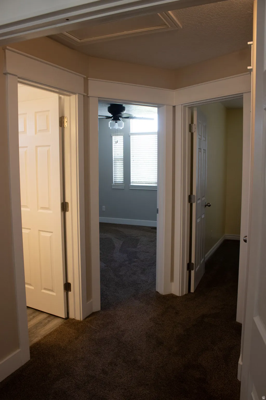 Carpeted hallway with multiple doorways, white trim, and a ceiling fan in the distance