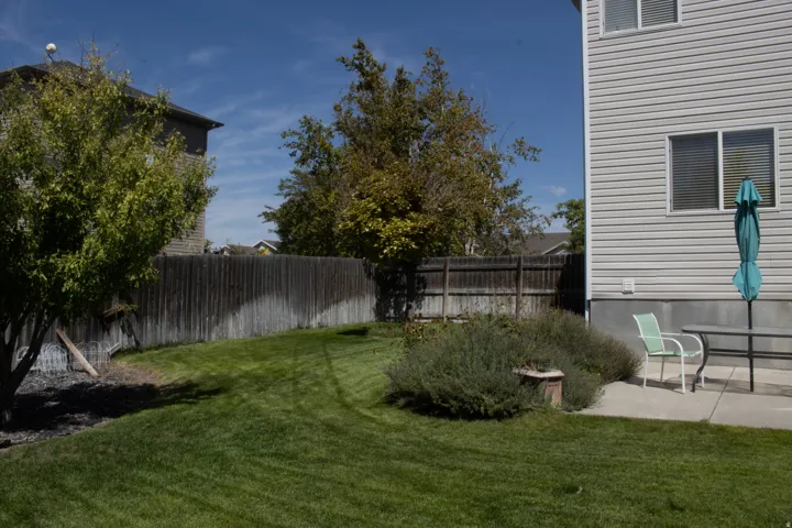 Expansive lawn area with a concrete patio, mature perimeter plantings, and a wood privacy fence