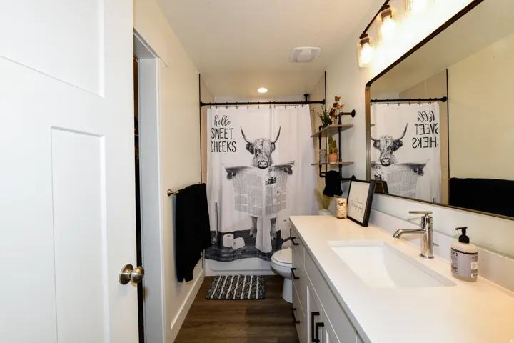 Wood-finish flooring, a white vanity with an integrated sink, and a rectangular mirror with an overhead light fixture