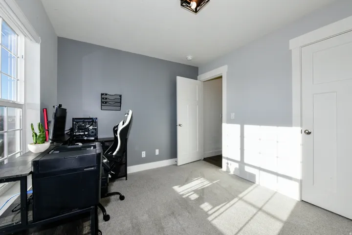 Light grey carpeting, window with white trim, white paneled door, ceiling-mounted light fixture, and two-tone wall treatment