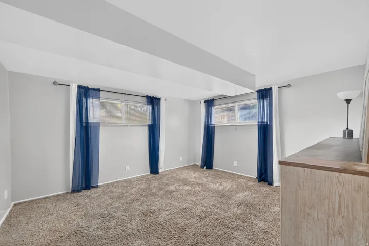 Wall-to-wall carpet, light gray wall paint, and two windows