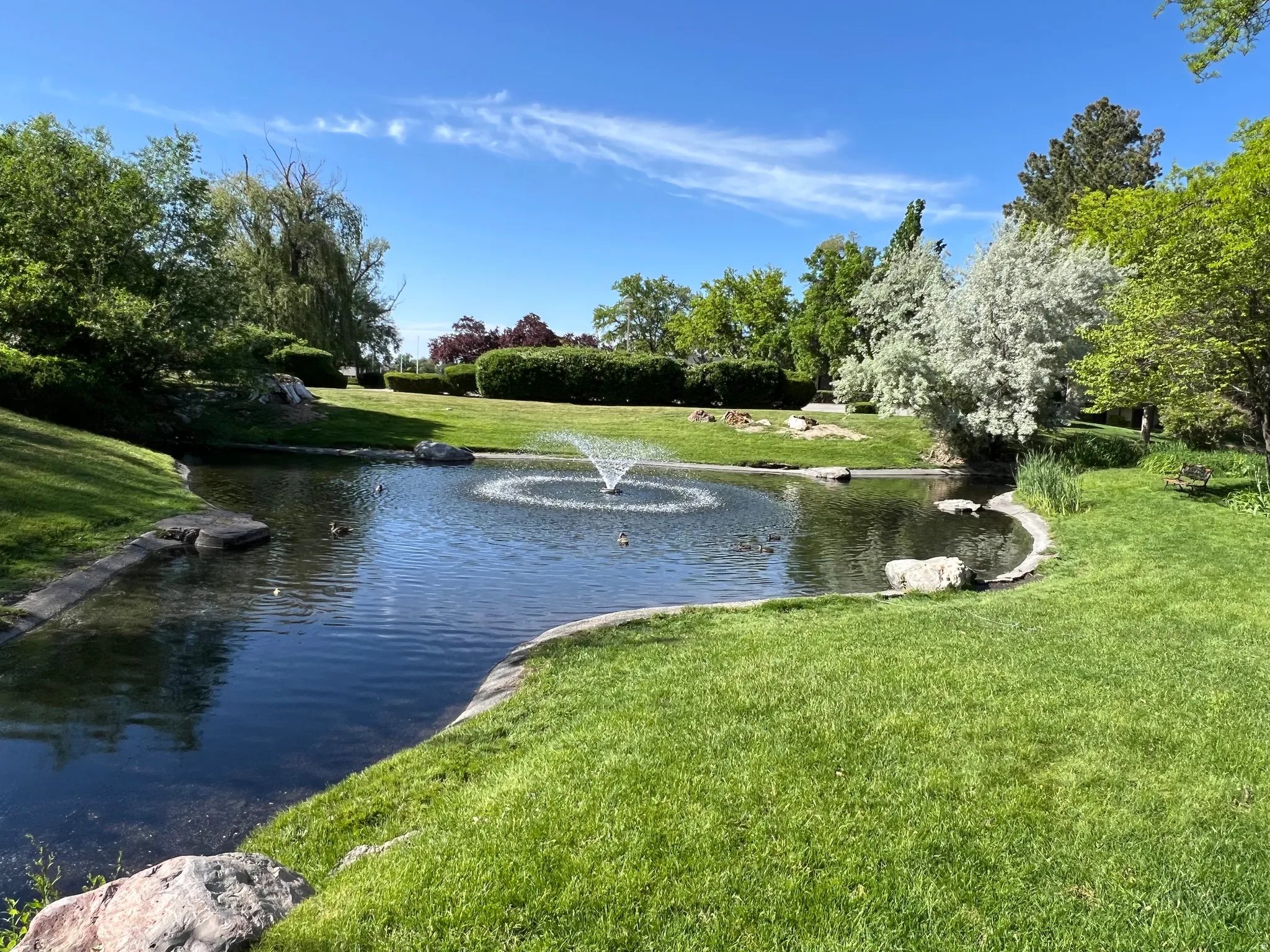 Expansive pond featuring a central fountain, surrounded by lush green lawns and mature trees