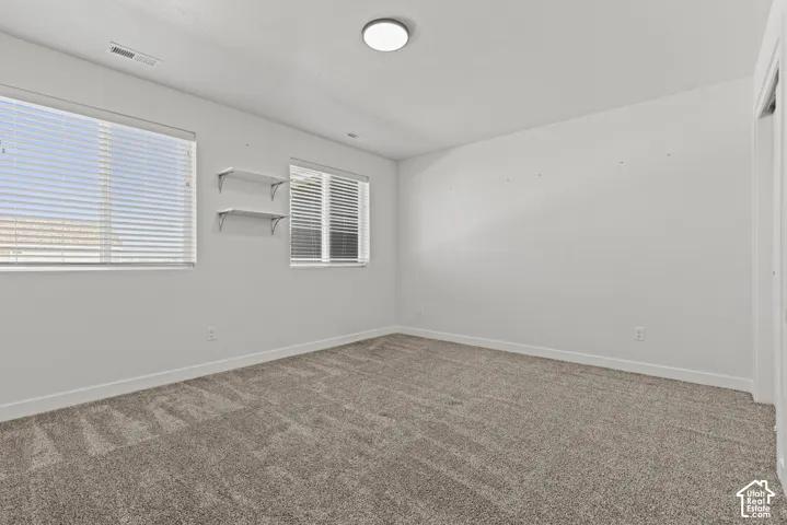 Neutral-toned carpeting, white walls, two windows with blinds, and a flush-mount ceiling light fixture