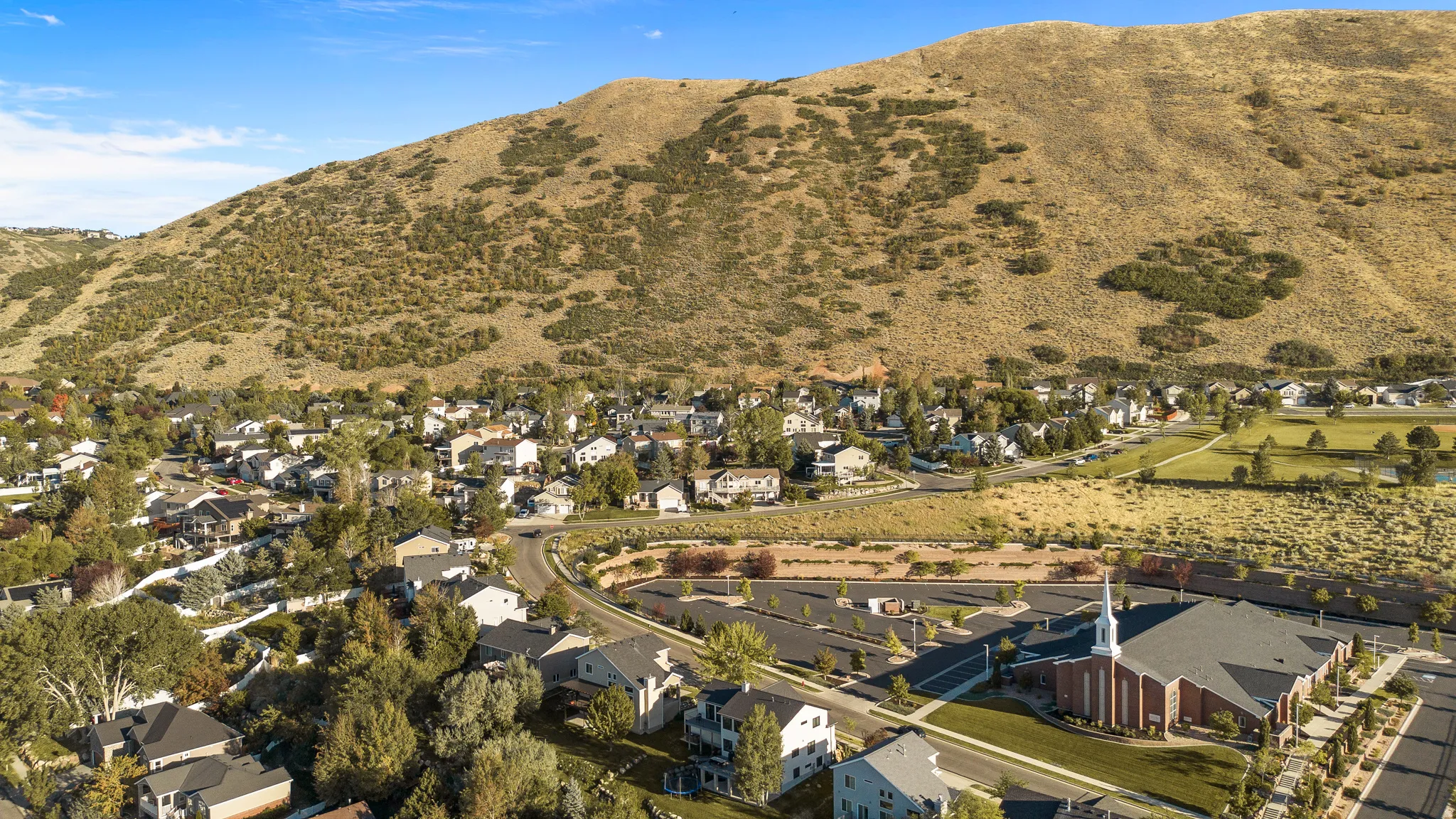 Established neighborhood with mature trees, a curvilinear street, and mountain backdrop