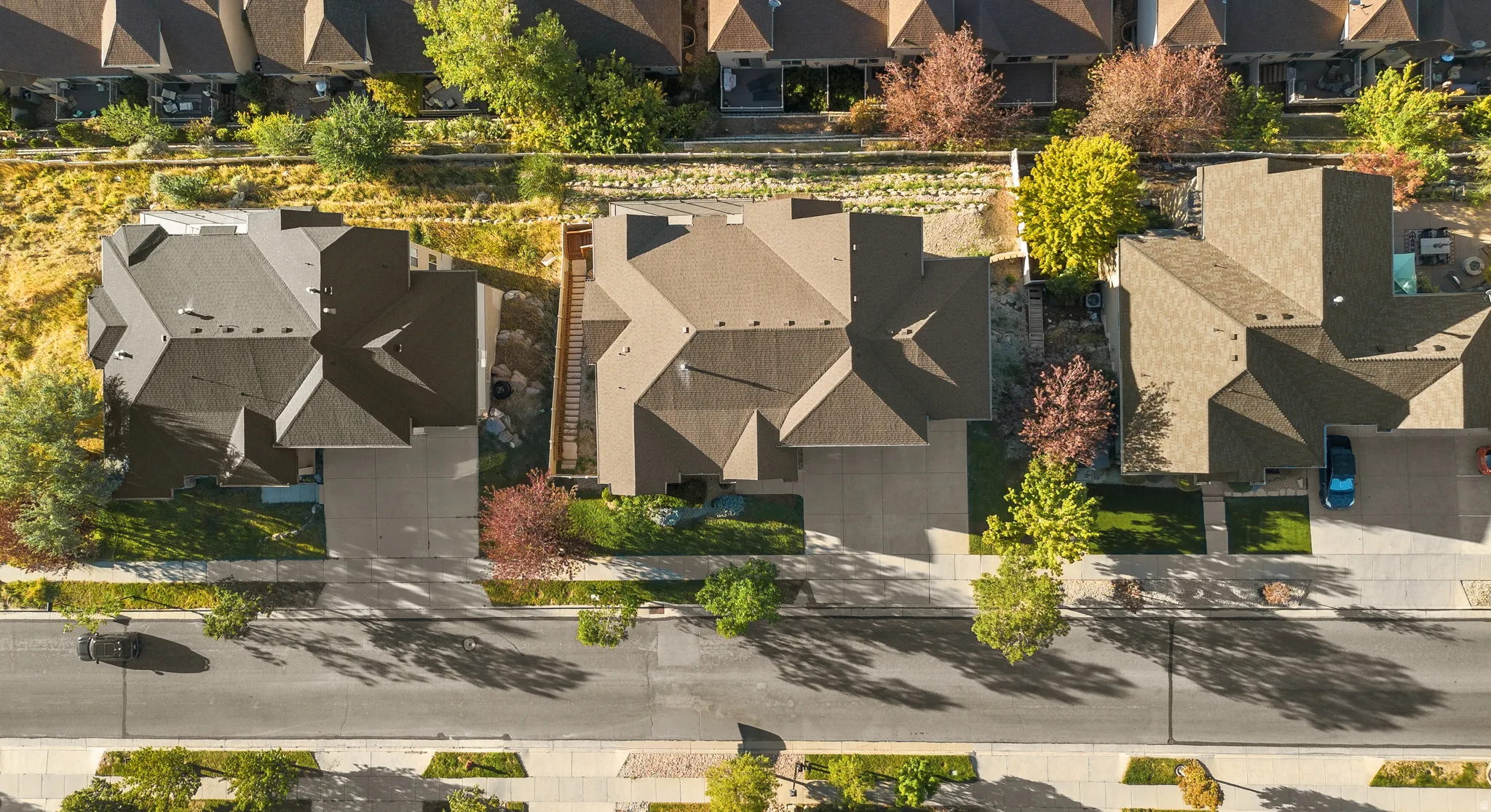Pitched roofline, paved driveway, mature trees, landscaped front yard, street frontage