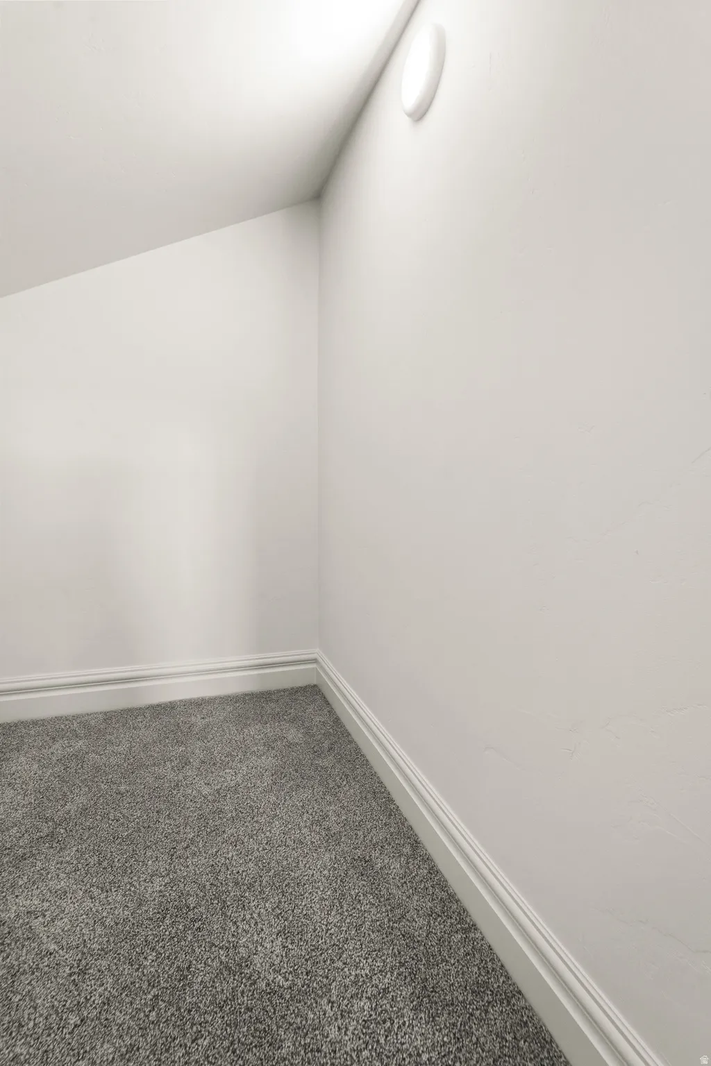 Plush carpeting, crisp white walls, and a contemporary ceiling-mounted light fixture