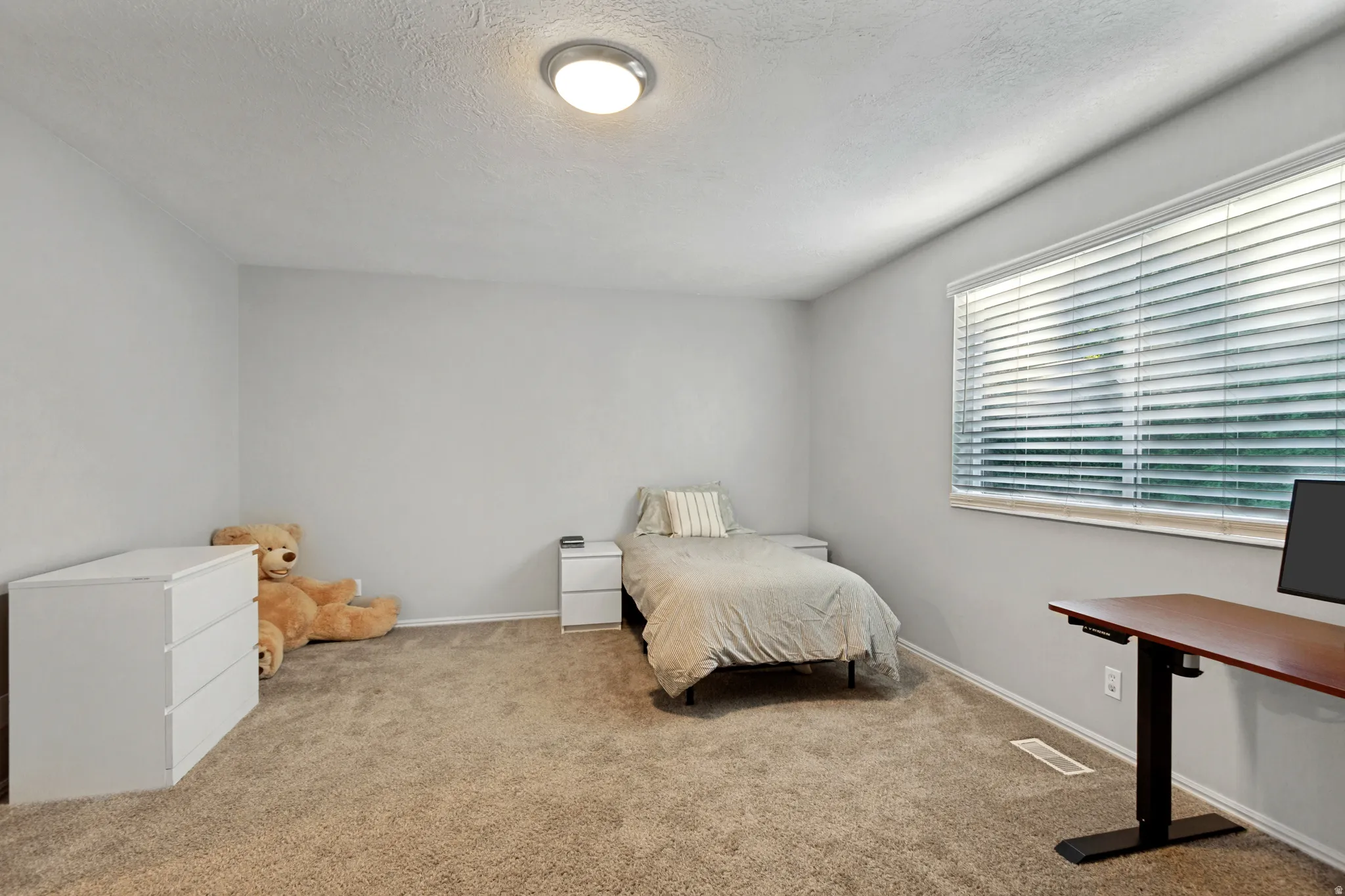 Light-colored walls, carpet flooring, window with blinds, and a ceiling-mounted light fixture