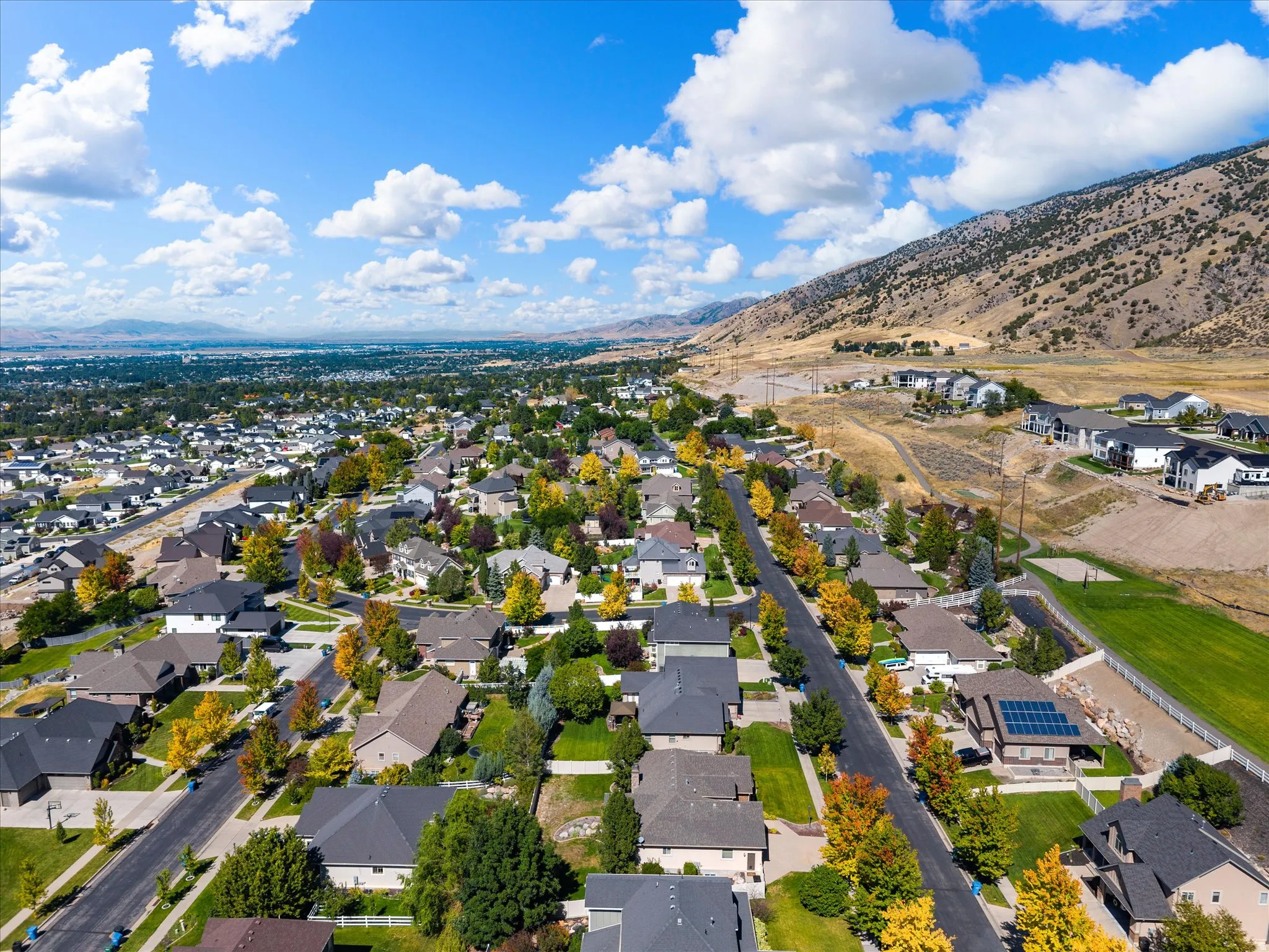 Neighborhood setting with mature trees and a distant mountainous backdrop