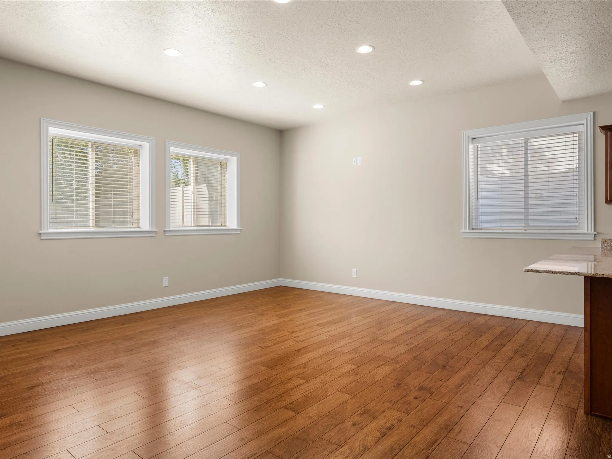 Recessed lighting illuminates the wood-finish flooring