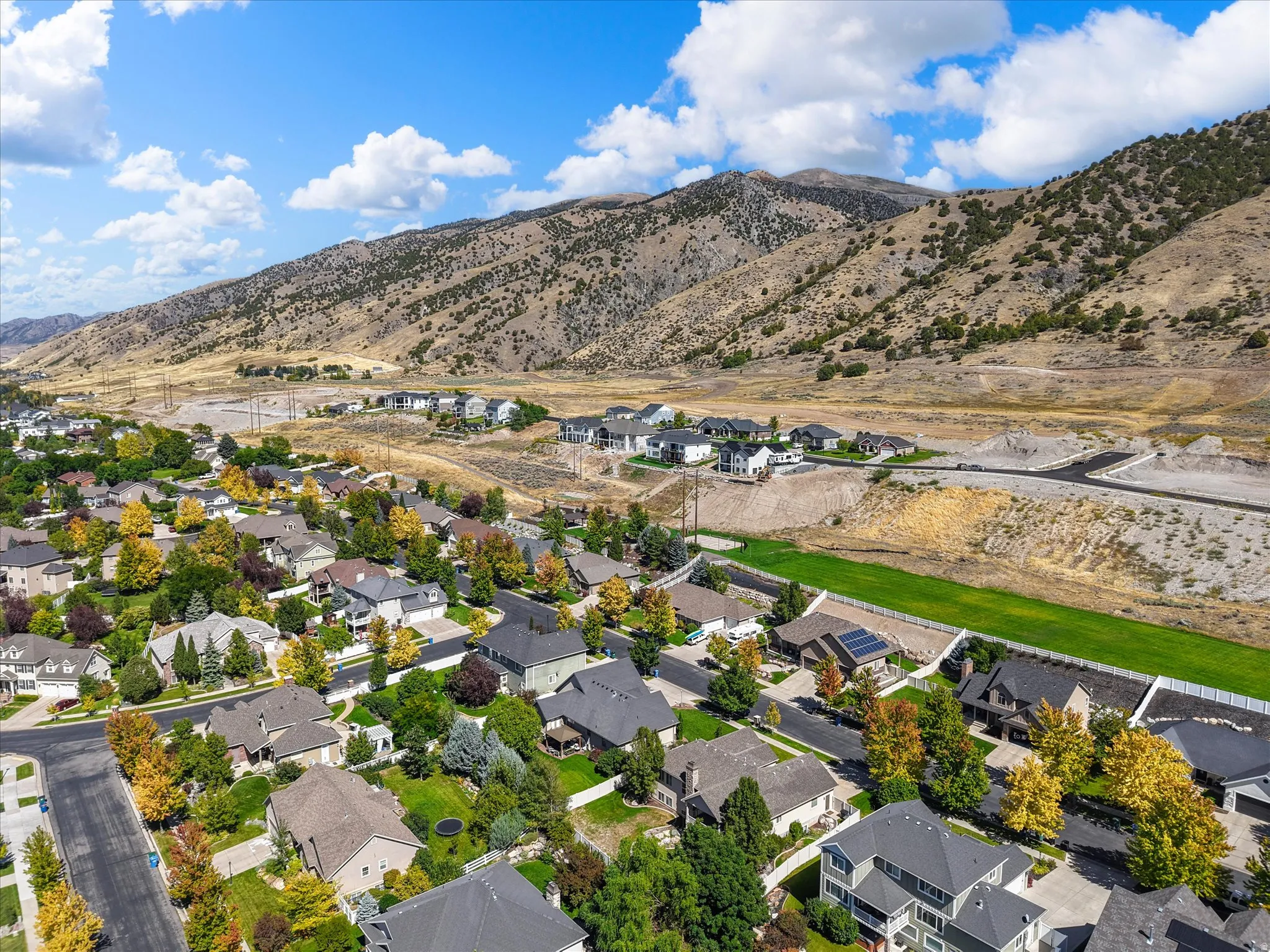 Expansive residential area featuring a variety of architectural styles and mature trees