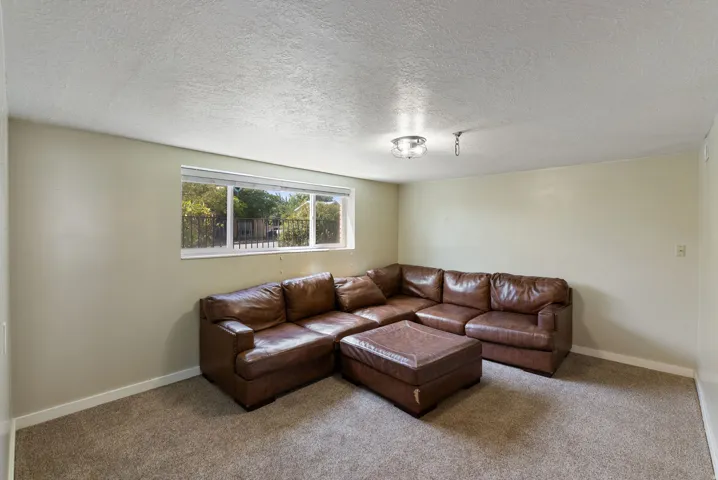 Carpeted floor, neutral wall paint, white window trim, and a flush-mount ceiling light