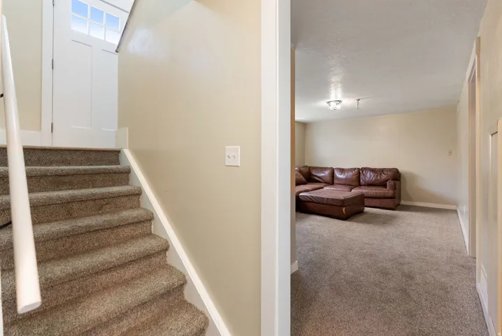 Carpeted staircase with white handrail and paneled door with glass inserts