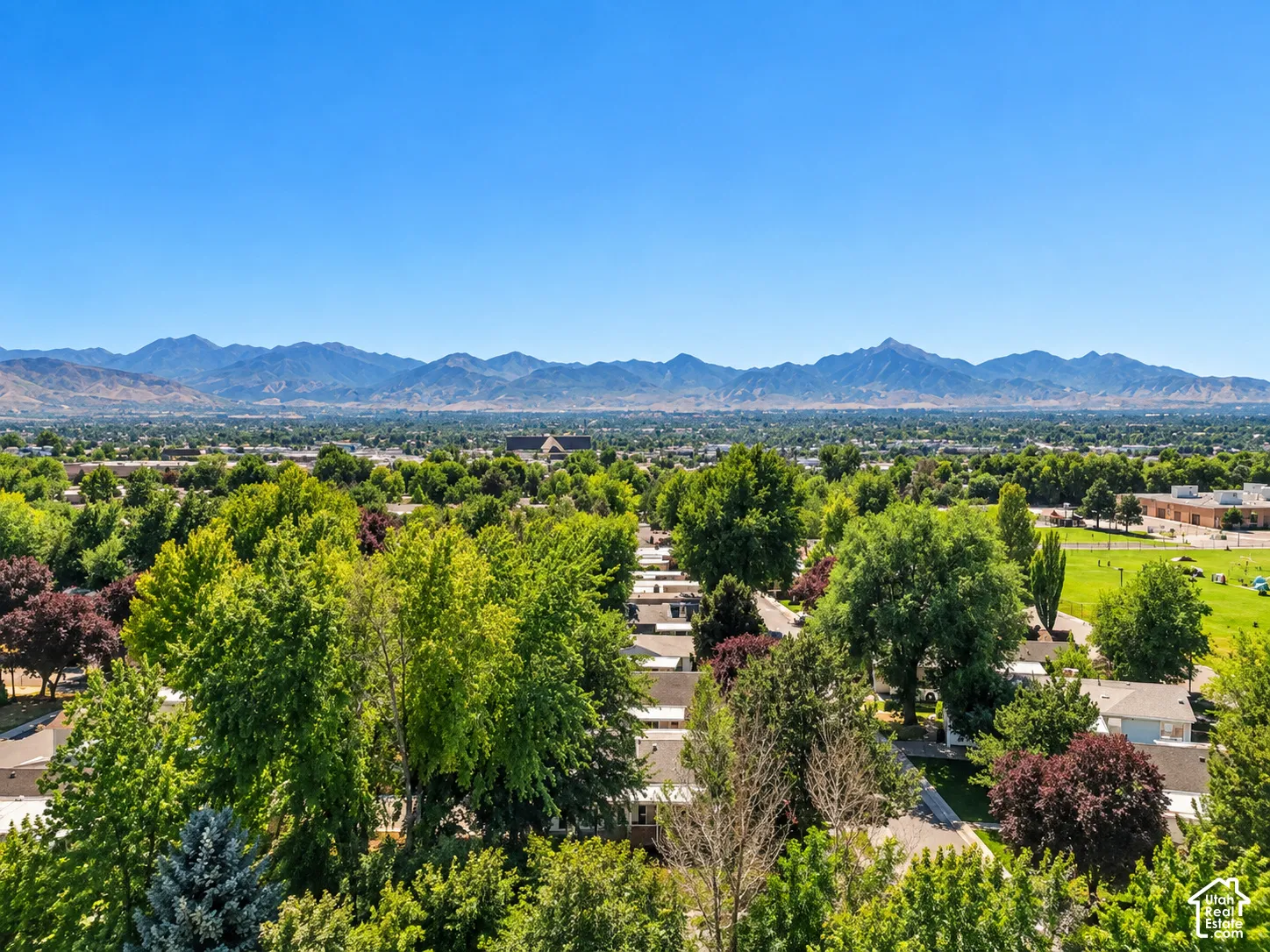 Expansive urban landscape with extensive tree cover, distant mountain range, residential rooftops, and green recreational areas