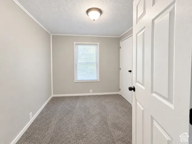Wall-to-wall carpeting, recessed window, white trim, and a flush mount ceiling light fixture