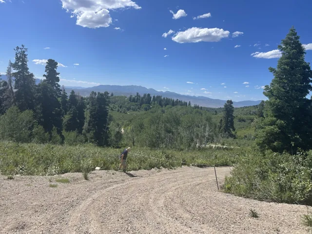Mountain terrain with expansive natural landscaping, mature evergreen trees, and a distant mountain range under a clear sky