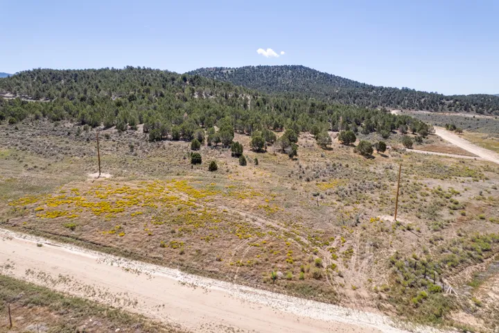 Expansive natural landscape featuring scattered trees and a dirt road