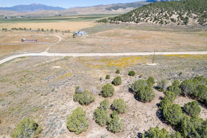 Expansive high desert landscape featuring natural vegetation, distant mountains, and a visible unpaved road